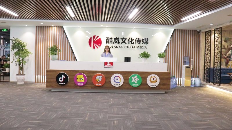纪录片脚本写作格式规范：标准解读与写作技巧