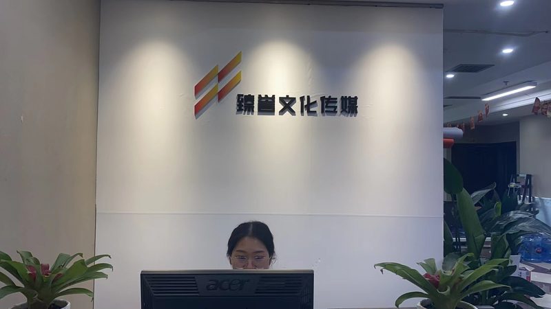 VI设计品牌全案流程：揭秘注意事项与关键步骤
