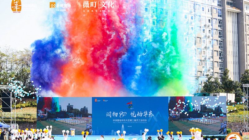 品牌设计案例分析：解码成功之道